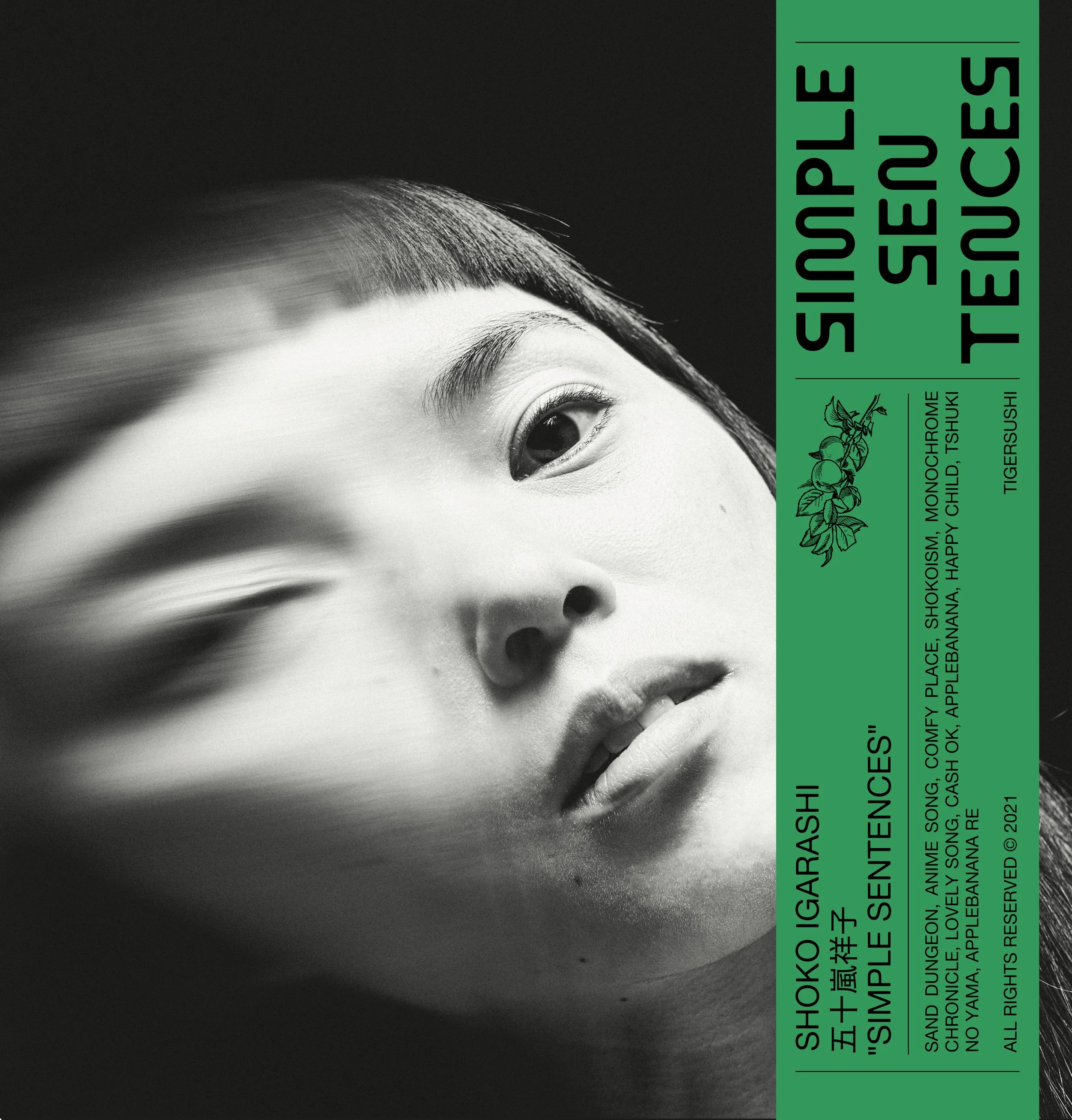 Shoko Igarashi